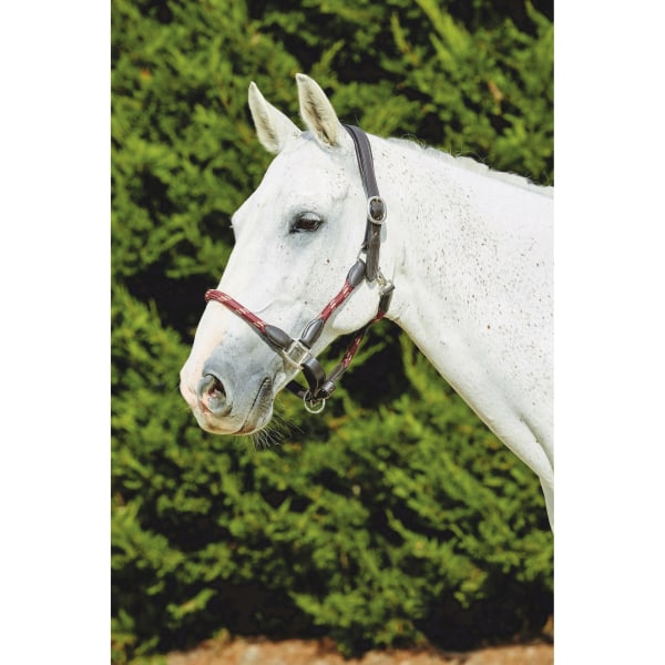 Kincade Läderrep Huvudkrage Varmblodig Burgundy/Brun Burgundy/Brown Warmblood