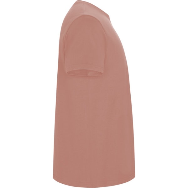 Roly Barn/Barn Stafford Kortärmad T-shirt 7-8 År Lera Orange Clay Orange 7-8 Years