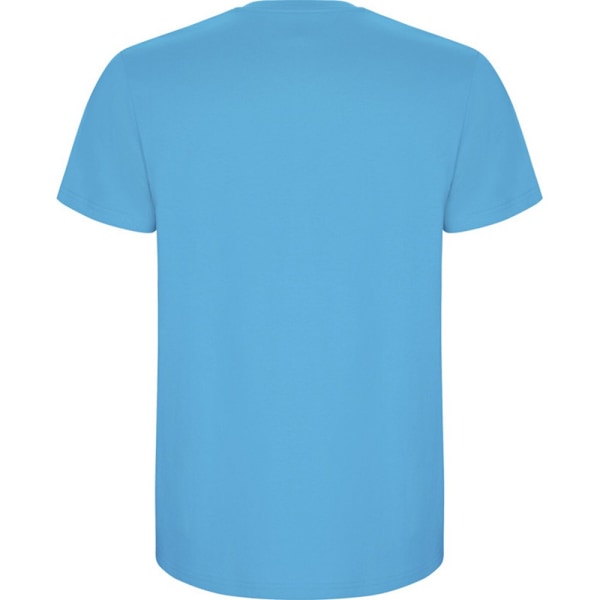 Roly Barn/Barn Stafford Kortärmad T-shirt 9-10 År T Turquoise 9-10 Years