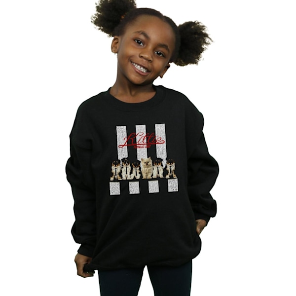 Blondie Girls Kitty Purrallel Lines Sweatshirt 12-13 år Svart Black 12-13 Years