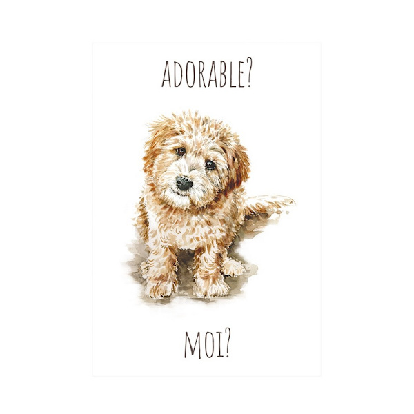 Louise Nisbet Adorable? Moi? Labradoodle Print 40cm x 30cm Vit White/Brown 40cm x 30cm