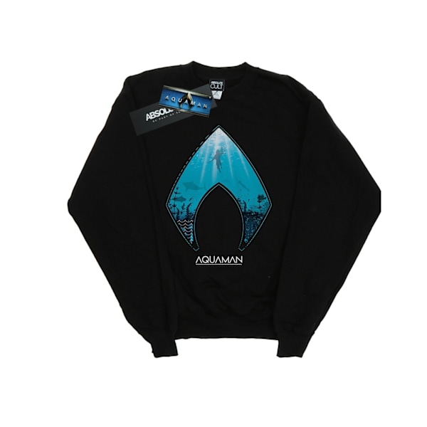 DC Comics Boys Aquaman Ocean Logo Sweatshirt 12-13 år Svart Black 12-13 Years