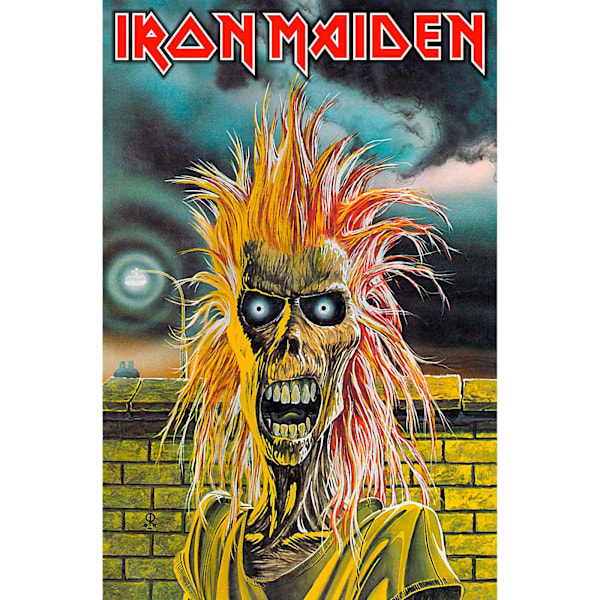 Iron Maiden Album Polyester Poster 106cm x 70cm Flerfärgad Multicoloured 106cm x 70cm