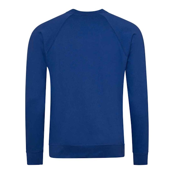 Awdis Barn/Barn Akademi Raglan Sweatshirt XXL Deep Royal B Deep Royal Blue XXL