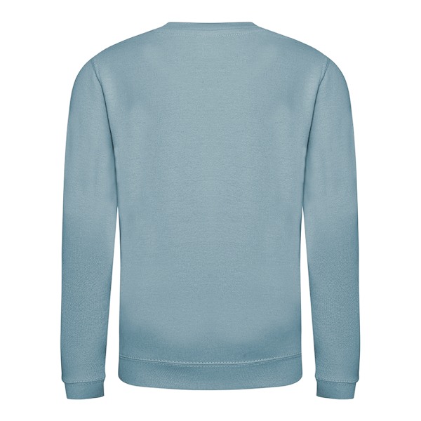 AWDis Just Hoods Barn/Barn Plain Crew Neck Sweatshirt 7-8 Sky Blue 7-8 Years