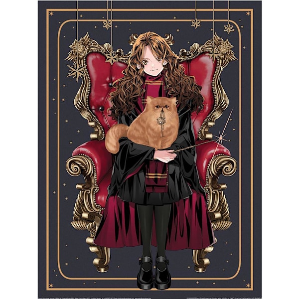 Harry Potter: Wizard Dynasty Hermione Chair Print 40cm x 30cm M Multicoloured 40cm x 30cm