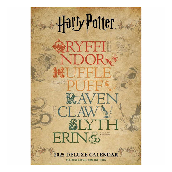 Harry Potter Deluxe Kalender 2025, En Storlek, Flerfärgad Multicoloured One Size