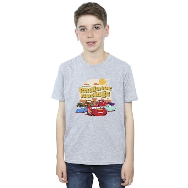 Disney Boys Cars Radiator Springs Group T-shirt 3-4 år Sport Sports Grey 3-4 Years