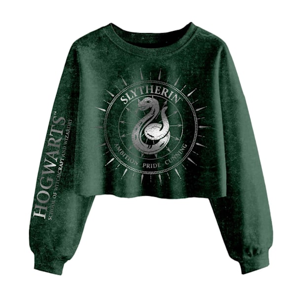 Harry Potter Unisex Vuxen Slytherin Konstellation Acid Wash Cro Green M
