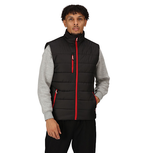 Regatta Navigate Termisk Body Warmer L Svart/Klassisk Röd för Herr Black/Classic Red L