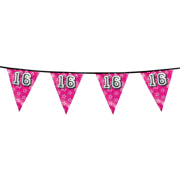 Boland Sweet 16 Holographic Bunting One Size Pink Pink One Size