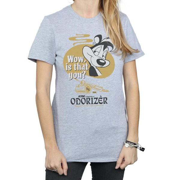 Looney Tunes Dam/Damer Pepe Le Pew Odorizer Bomull Pojkvän Sports Grey M