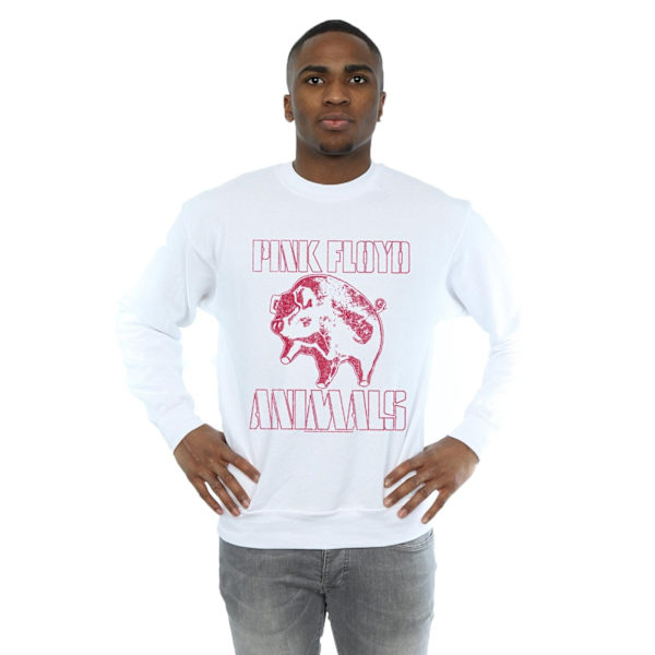 Pink Floyd Mens Animals Algie Sweatshirt 4XL Vit White 4XL
