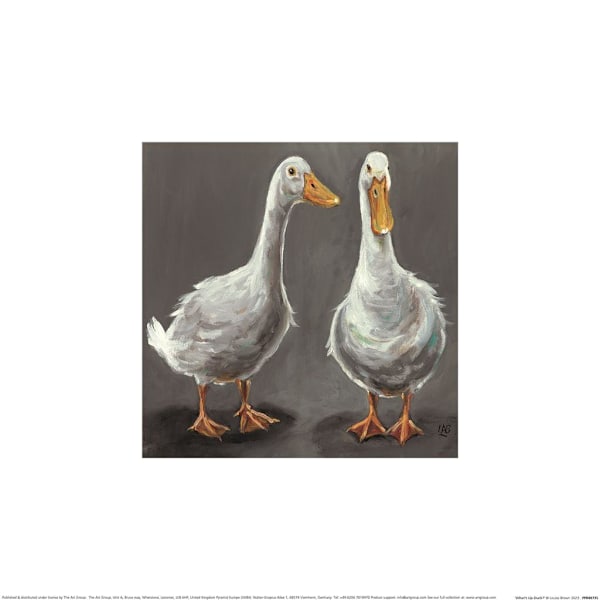 Louise Brown What´s Up Duck Print 40cm x 40cm Grå/Vit Grey/White 40cm x 40cm