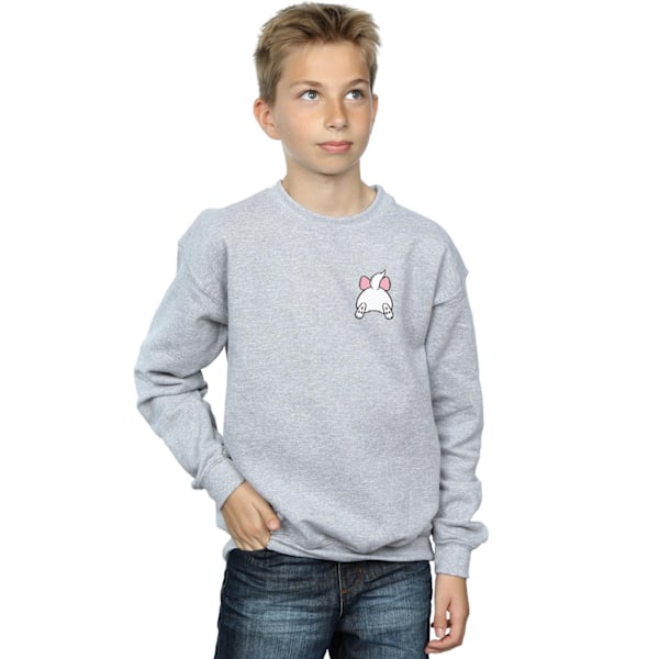 Disney Boys Aristocats Marie Bakside Brösttryck Sweatshirt 5 Sports Grey 5-6 Years