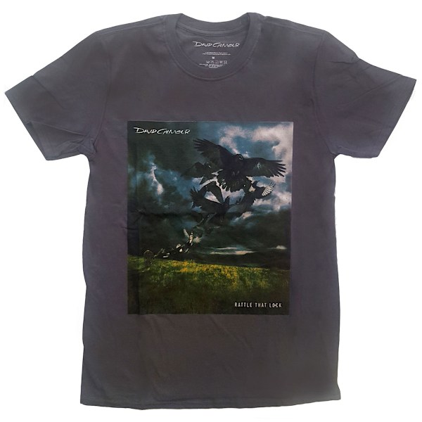 David Gilmour Unisex Vuxen Rattle That Lock Bomull T-shirt M Ch Charcoal Grey M