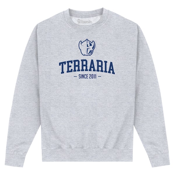 Terraria Unisex Vuxen Tryckt Sweatshirt XL Heather Grey Heather Grey XL