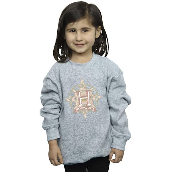Harry Potter Flickor Hogwarts Snowflake Sweatshirt 3-4 År Spor Sports Grey 3-4 Years