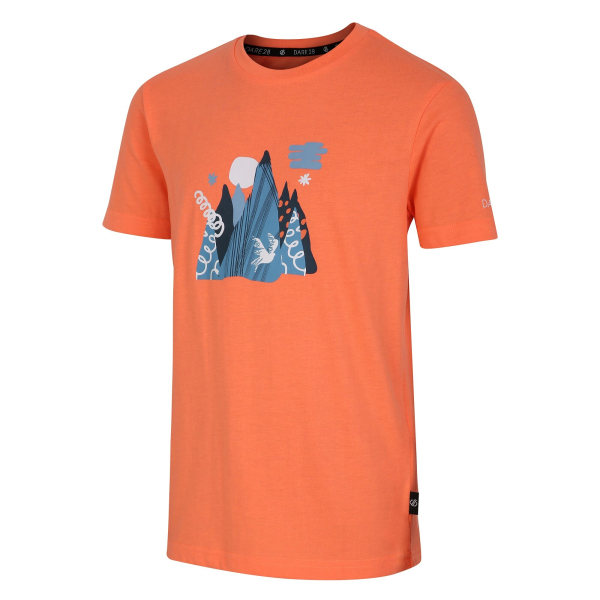 Dare 2B Barn/Barn Trailblazer II Mountain T-Shirt 7-8 År Live Wire 7-8 Years