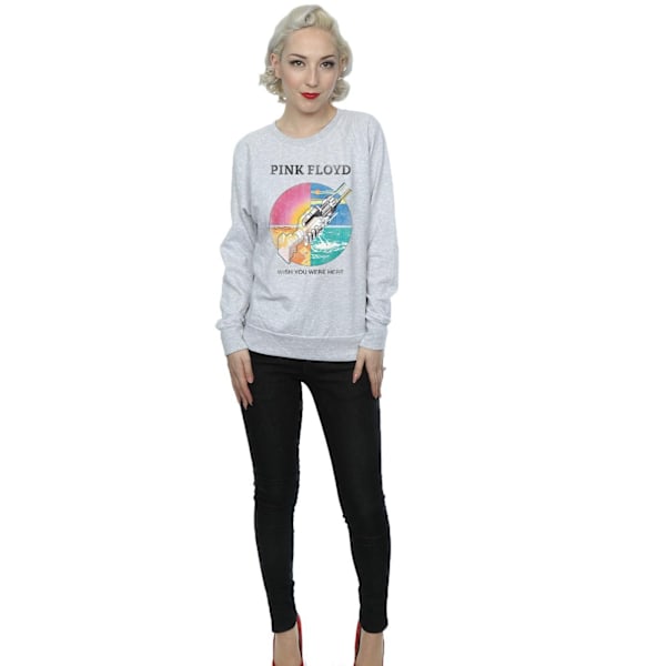 Pink Floyd Dam/Damer Önskar Du Var Här Prism Sweatshirt M Heather Grey M