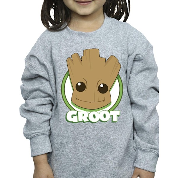 Guardians Of The Galaxy Girls Groot Badge Sweatshirt 12-13 År Sports Grey 12-13 Years