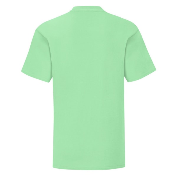 Fruit Of The Loom Barn/Barn T-shirt ikonisk 3-4 år Neo M Neo Mint 3-4 Years