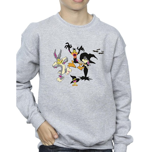 Looney Tunes Boys Halloween Friends Sweatshirt 5-6 år Sport Sports Grey 5-6 Years