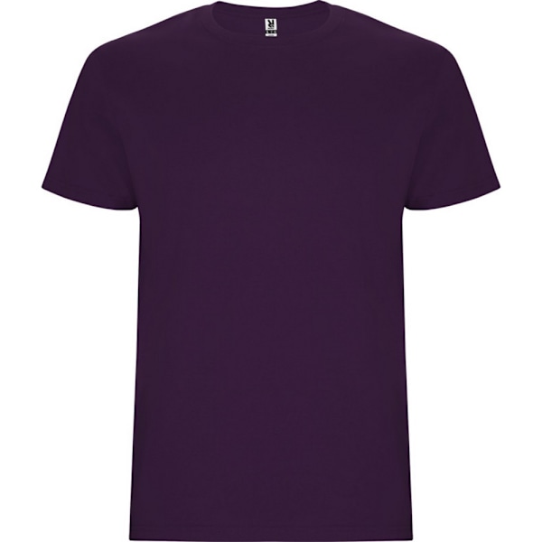 Roly Barn/Barn Stafford Kortärmad T-shirt 7-8 År Lila Purple 7-8 Years