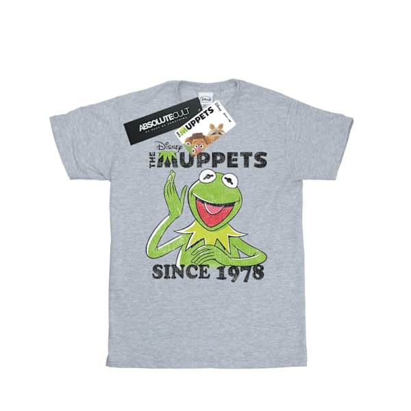 Disney Mens The Muppets Kermit Sedan 1978 T-Shirt S Heather Gre Heather Grey S
