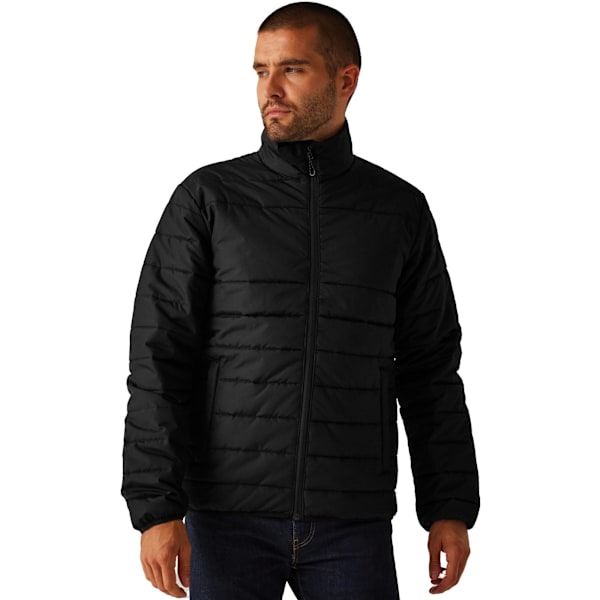Regatta Professional Herr Essential Termisk Vadderad Jacka L Bla Black L