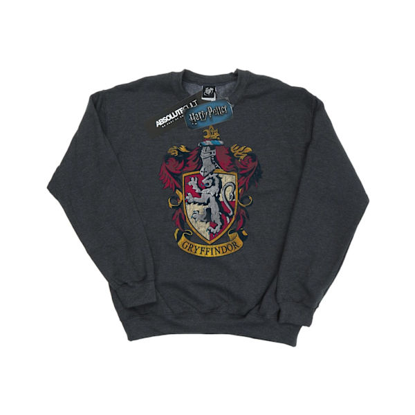 Harry Potter Gryffindor Sweatshirt för män, L, mörkgrå Dark Heather L