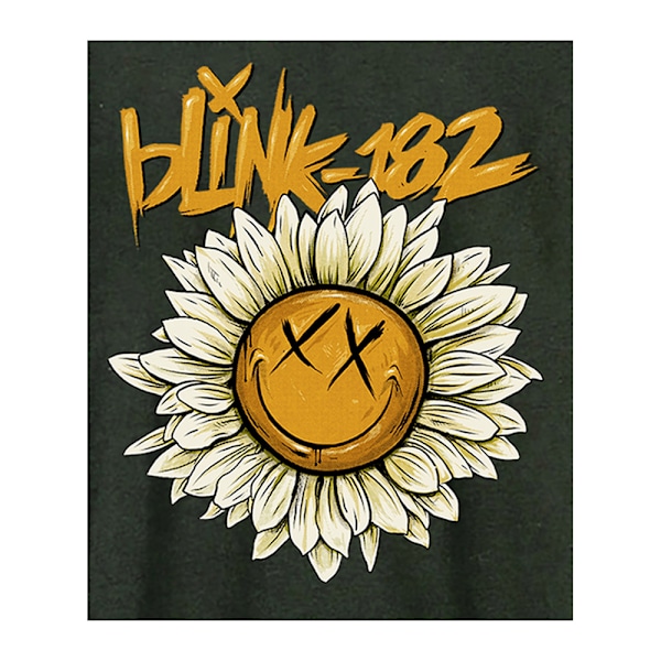 Amplified Unisex Vuxen Daisy Blink 182 T-Shirt XS Kolgrå Charcoal XS