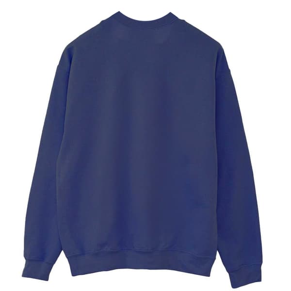Blue Beetle Dam/Damtröja Pose Sweatshirt XL Marinblå Navy Blue XL