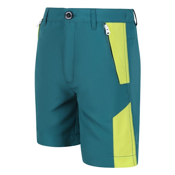 Regatta Sorcer II Bergshorts för barn 5-6 år Paci Pacific Green/Bright Kiwi 5-6 Years