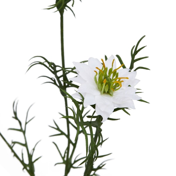 Hill Interiors The Natural Garden Collection Kärlek i dimman Nig White 68cm x 9cm x 9cm