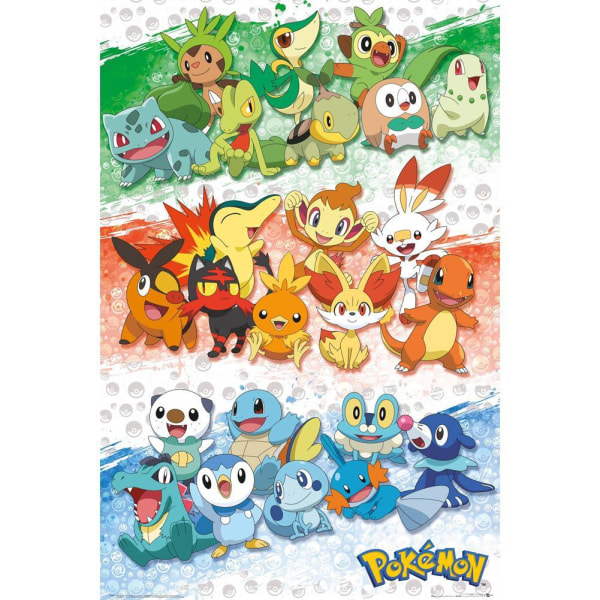Pokémonaffisch 91cm x 61cm Flerfärgad Multicoloured 91cm x 61cm