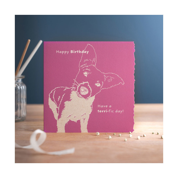 Deckled Edge Color Block Animal Greetings Card One Size Happy Happy Birthday Have A Terri-fic Day One Size
