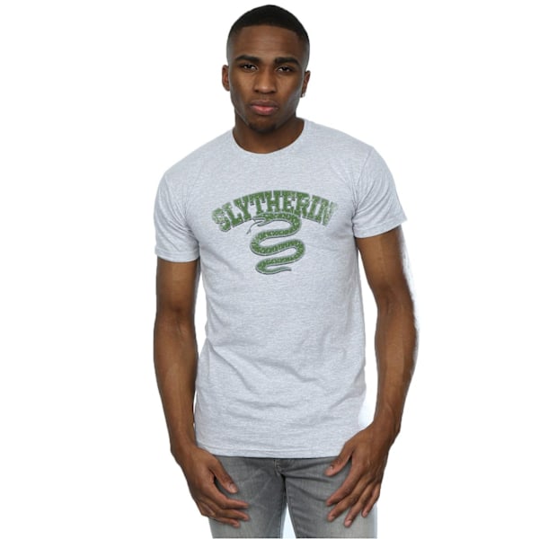 Harry Potter Herr Slytherin Sport Emblem T-shirt 3XL Sports Grå Sports Grey 3XL