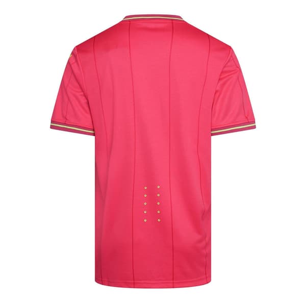 Castore Herr Wolves Målvaktströja L Rödbetslila Beetroot Purple L