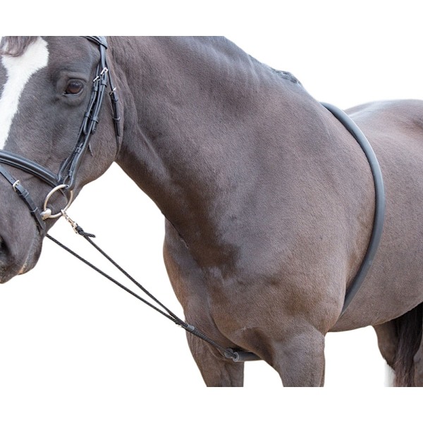 Shires Häst Lunghjälpmedel One Size Svart Black One Size