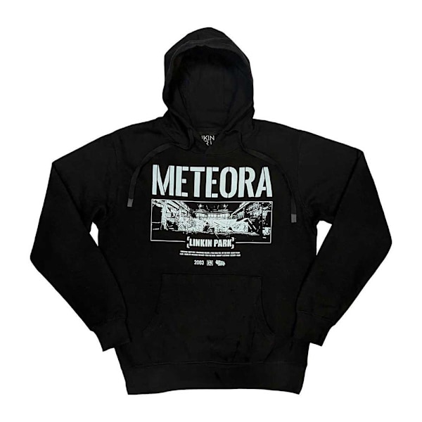Linkin Park Unisex Vuxen Meteora Väggkonst Hoodie XXL Svart Black XXL