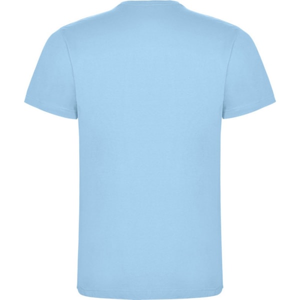 Roly Barn/Kids Dogo T-shirt 11-12 år Himmelblå Sky Blue 11-12 Years