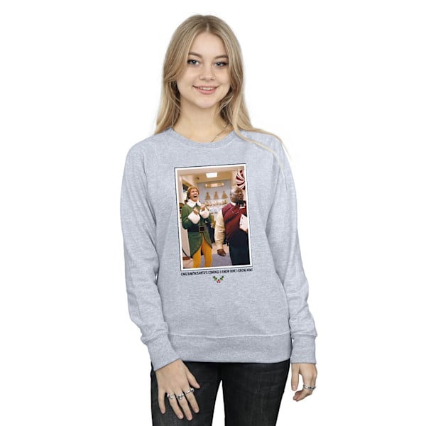 Elf Dam/Damer OMG Santa Foto Sweatshirt M Sports Grey Sports Grey M