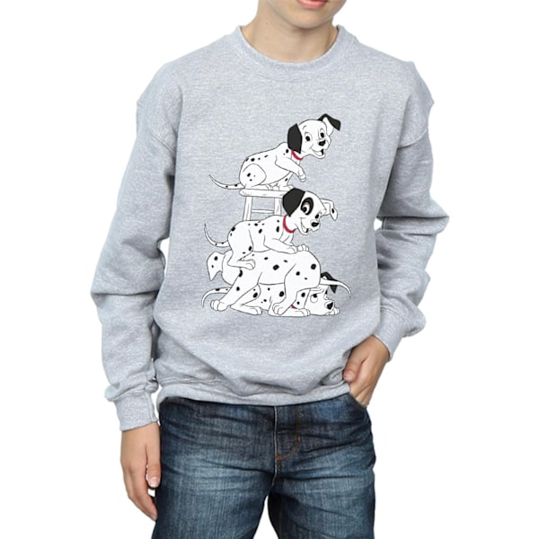 101 Dalmatiner Pojkar Stol Sweatshirt 5-6 År Sport Grå Sports Grey 5-6 Years