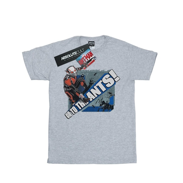 Marvel Girls Ant-Man Go To The Ants Bomull T-shirt 9-11 År S Sports Grey 9-11 Years