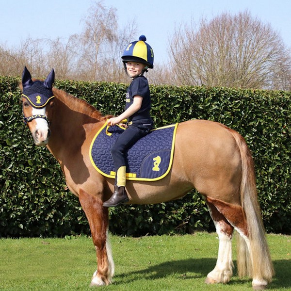 Little Knight Lancelot Hästsadelpad Ponny/Cob Marinblå/Gul Navy/Yellow Pony/Cob