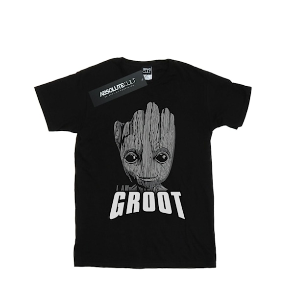 Marvel Herrar Guardians Of The Galaxy Groot Ansikte T-shirt L Svart Black L