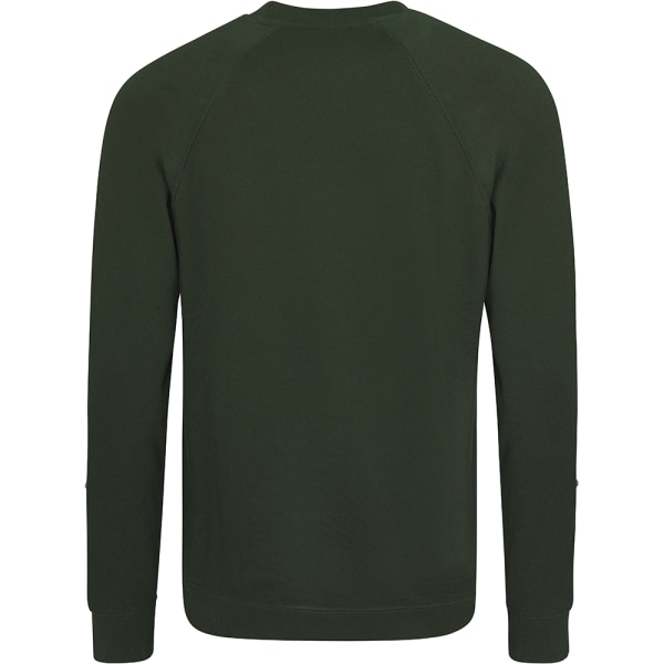 AWDis Academy Herr Raglantröja med rund hals 2XL Grön Green 2XL