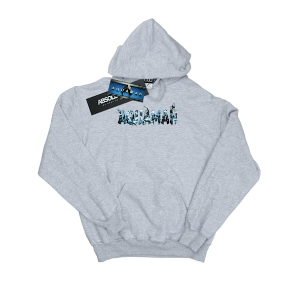DC Comics Girls Aquaman Text Logo Hoodie 12-13 år Sports Grå Sports Grey 12-13 Years