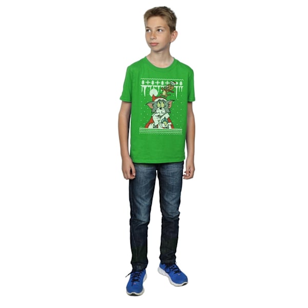 Tom And Jerry Pojkar Jul Fair Isle T-Shirt 12-13 År Iris Irish Green 12-13 Years